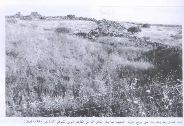 Bilad al-Amirin Tiberias: The Story of Algerian Villages Before and After the Nakba 45 نون بوست