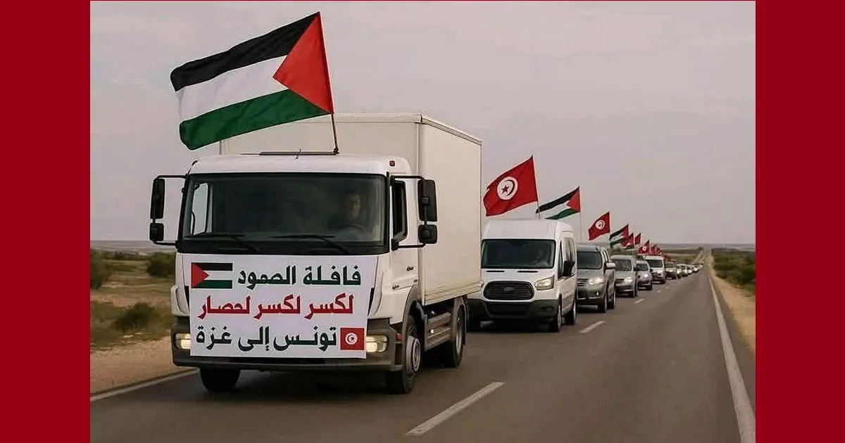 "The Steadfastness Convoy": A Civilian Lifeline to Break Gaza's Siege – What Do We Know About It? 34 نون بوست