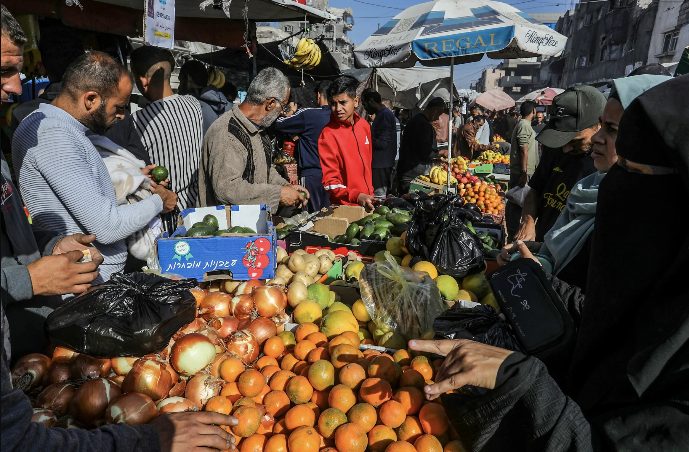 Corruption Amid Starvation: How the War Economy Pierced the Siege on Gaza 34 نون بوست