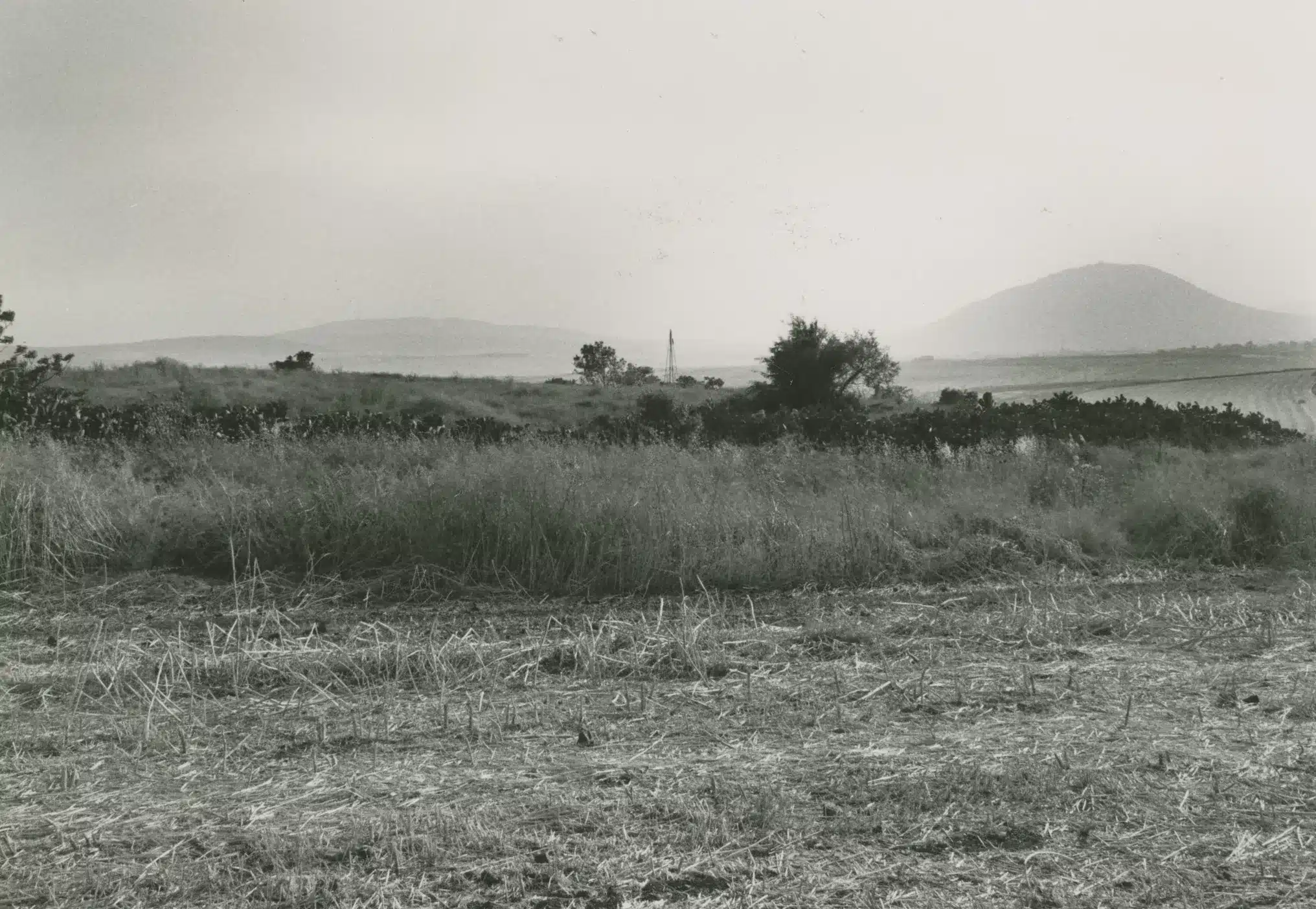 Bilad al-Amirin Tiberias: The Story of Algerian Villages Before and After the Nakba 40 نون بوست