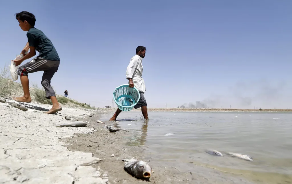 Basra’s Water Crisis: Thirst Amid Oil and Salt