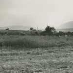 Bilad al-Amirin Tiberias: The Story of Algerian Villages Before and After the Nakba