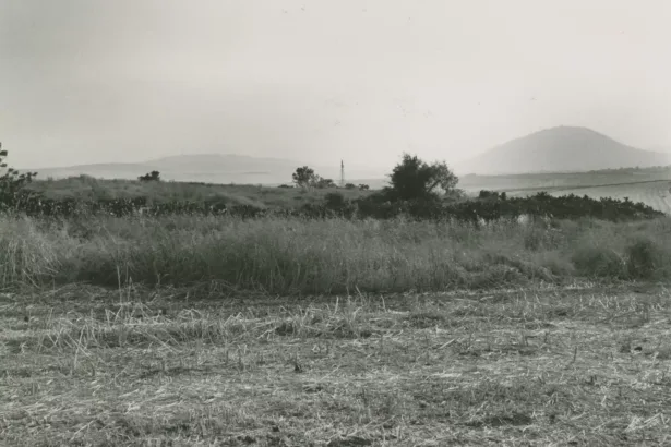 Bilad al-Amirin Tiberias: The Story of Algerian Villages Before and After the Nakba