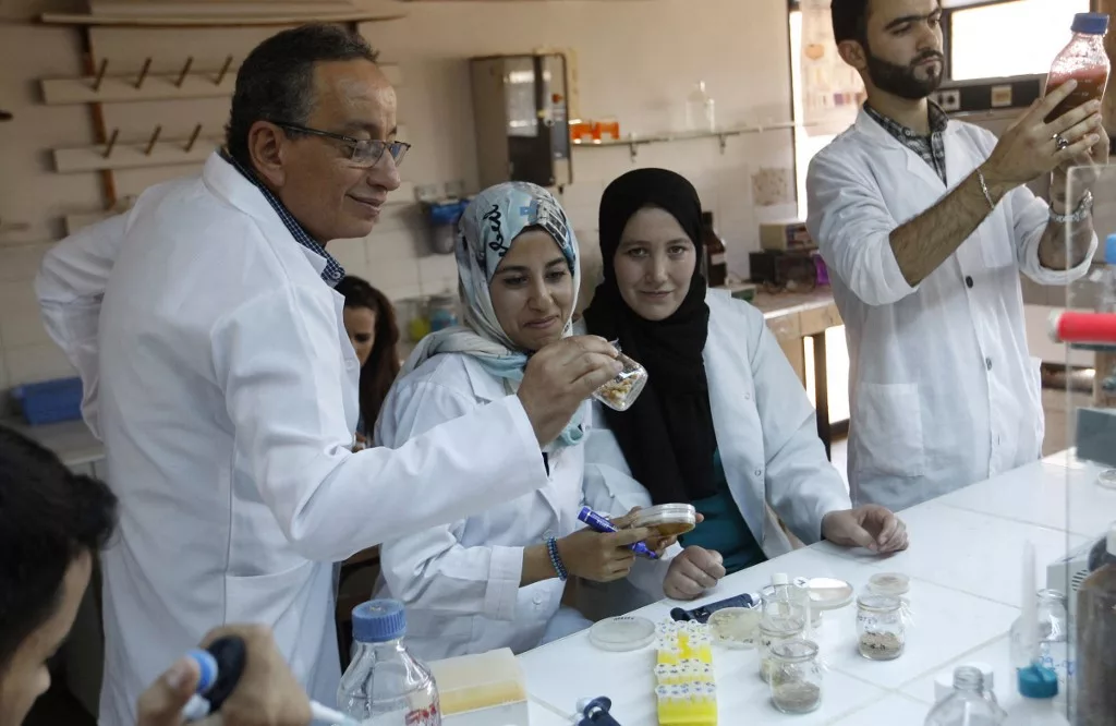 Scientific Research in Egypt: Abundant Output, Migrating Minds 28 نون بوست