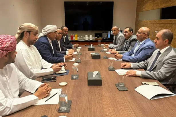 The Southern Gamble: UAE and the STC in Yemen