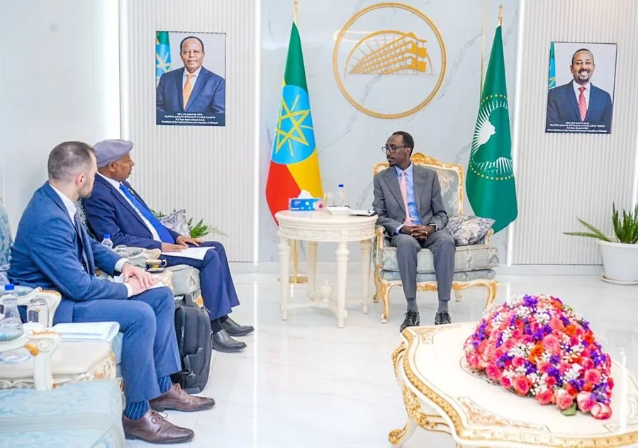 Addis Ababa at the Heart of a Regional Power Struggle 28 نون بوست