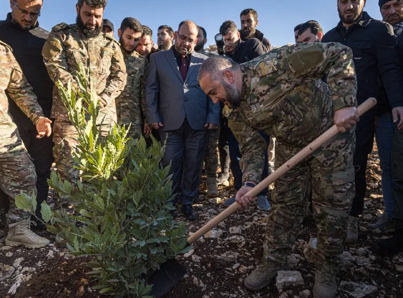 Syria’s Reforestation Campaigns: Can They Repair the War-Torn Landscape? 37 نون بوست