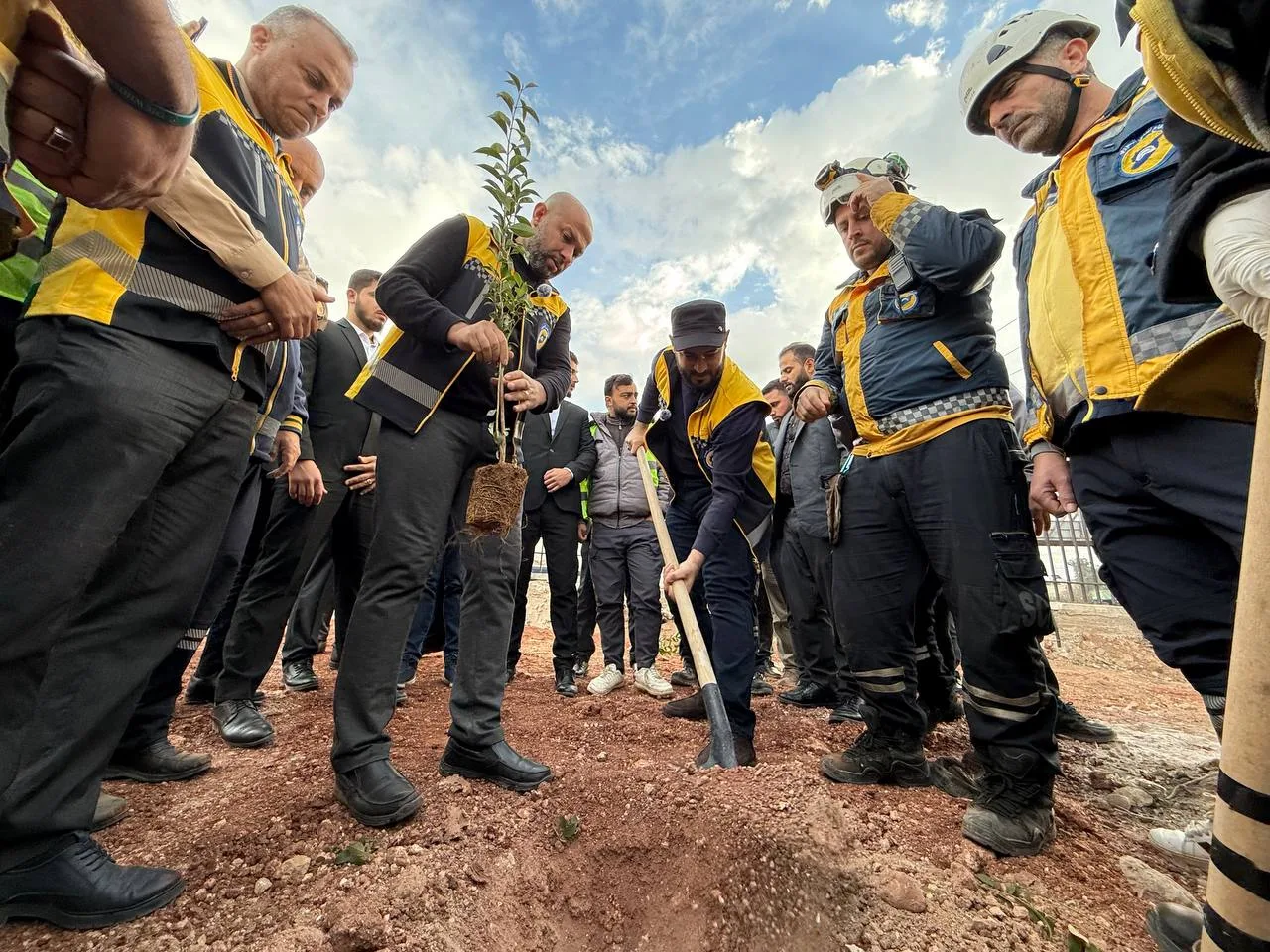 Syria’s Reforestation Campaigns: Can They Repair the War-Torn Landscape? 34 نون بوست