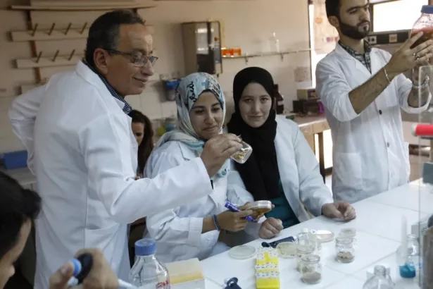 Scientific Research in Egypt: Abundant Output, Migrating Minds