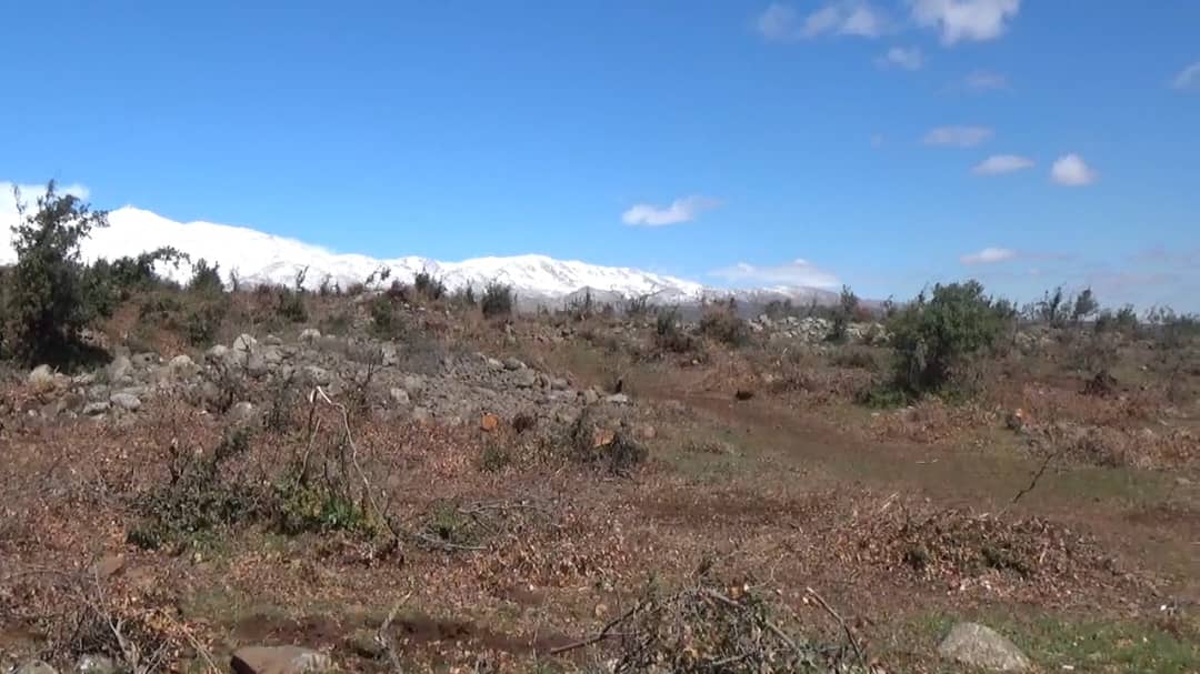“Our Land Is Forbidden to Us”: Occupation Strips Quneitra of Its People 33 نون بوست