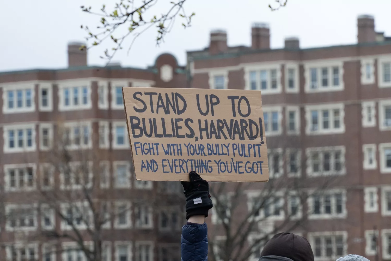 Harvard Under Fire: The Future of U.S. Higher Education 37 نون بوست