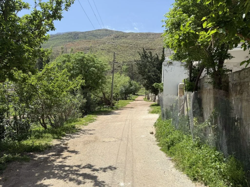 كيف اعتقلت قوات الأمن السورية القبض "جزار التضامن"؟ 26 نون بوست