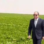 نون بوست
