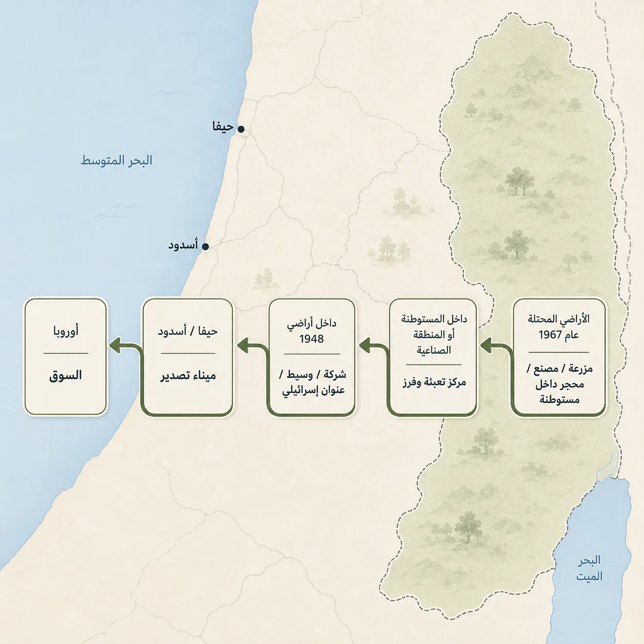 رغم القيود.. كيف تصل بضائع المستوطنات إلى الأسواق الدولية؟ 27 مسار بضاعة المستوطنات من موقع الإنتاج مرورًا بمراكز التعبئة والوسطاء وحتى التصدير