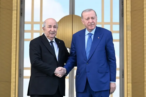 غاز وحديد وموانئ.. كيف بنت تركيا موطئ قدم عميقًا داخل الجزائر؟