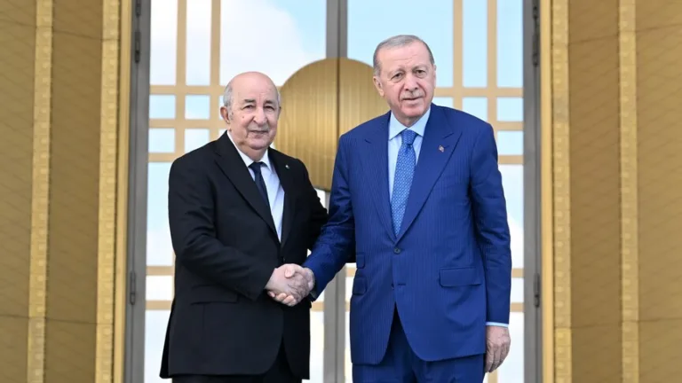 غاز وحديد وموانئ.. كيف بنت تركيا موطئ قدم عميقًا داخل الجزائر؟