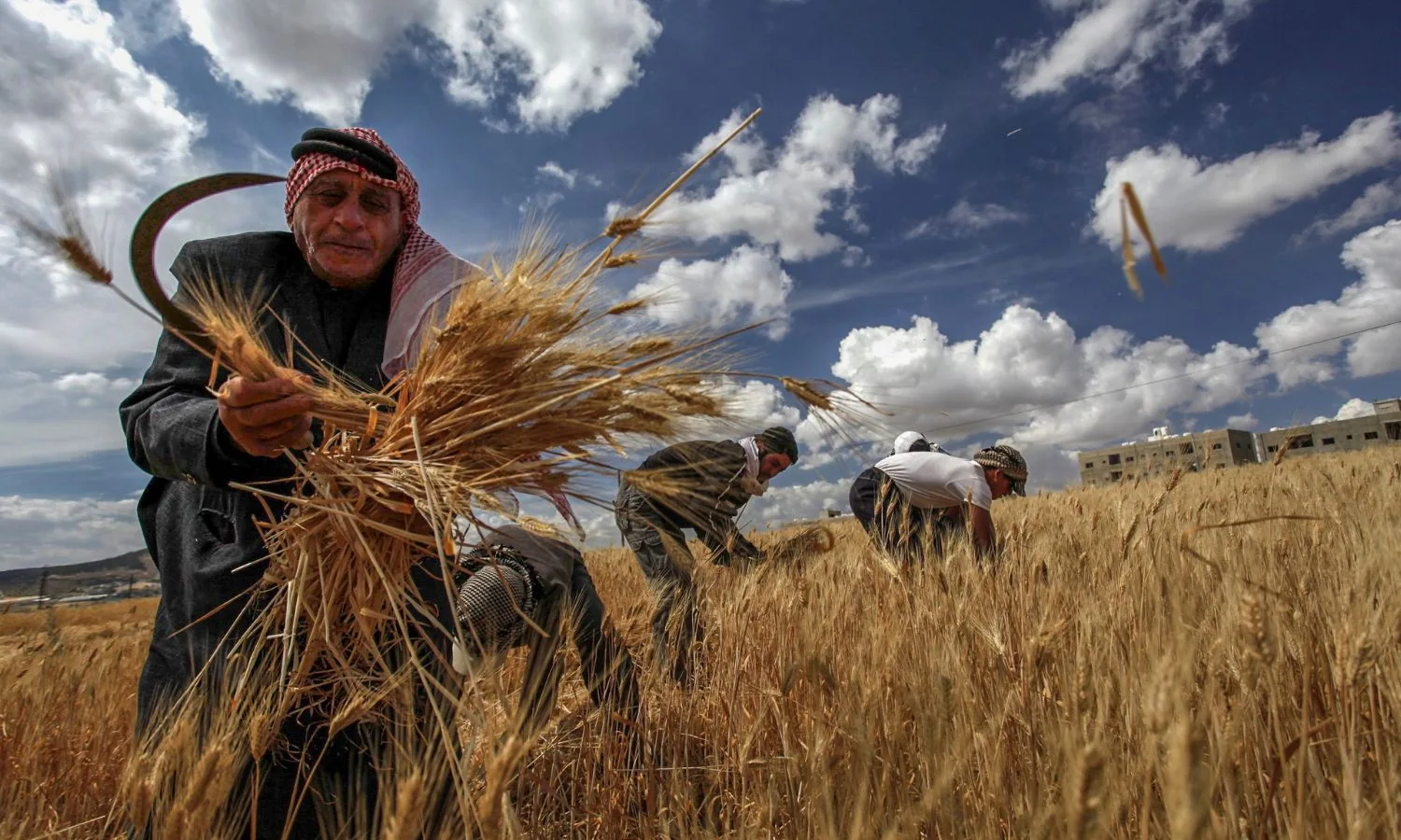 الزراعة السورية.. قصة التهميش الطويل وفرصة الإنقاذ الأخيرة 26 نون بوست