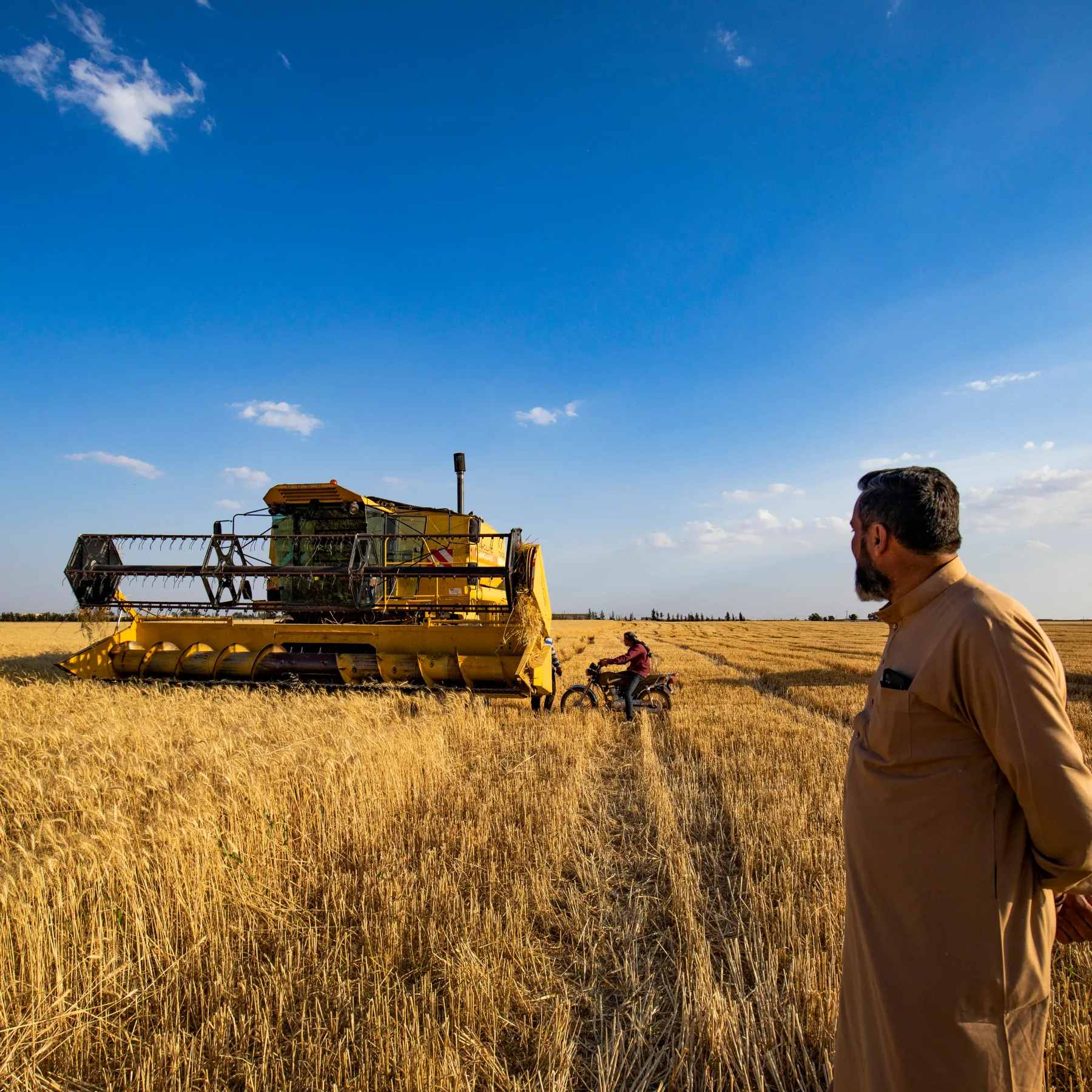 Syrian agriculture: A long story of marginalization and a last chance for rescue 29 نون بوست