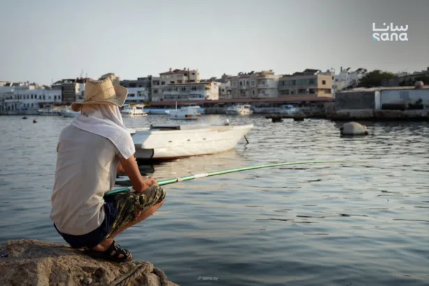 Forgotten off the Tartus coast: Arwad island between promises and the burden of marginalization