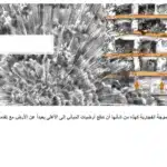 تفاصيل الدمار: كيف عصفت شاحنات المتفجرات الإسرائيلية التي تزن أطنان بغزة؟ 33 نون بوست