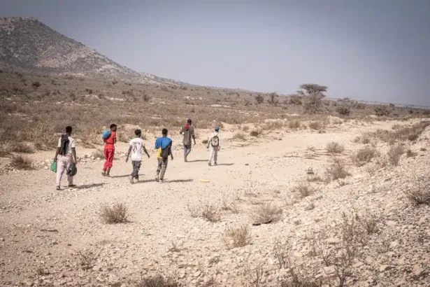 From Ethiopia to Saudi Arabia: How the eastern route swallows migrants going and coming back