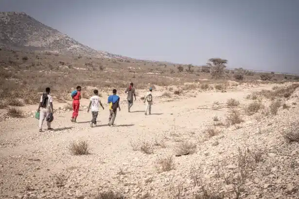 من إثيوبيا إلى السعودية.. كيف يبتلع المسار الشرقي المهاجرين ذهابًا وعودة؟