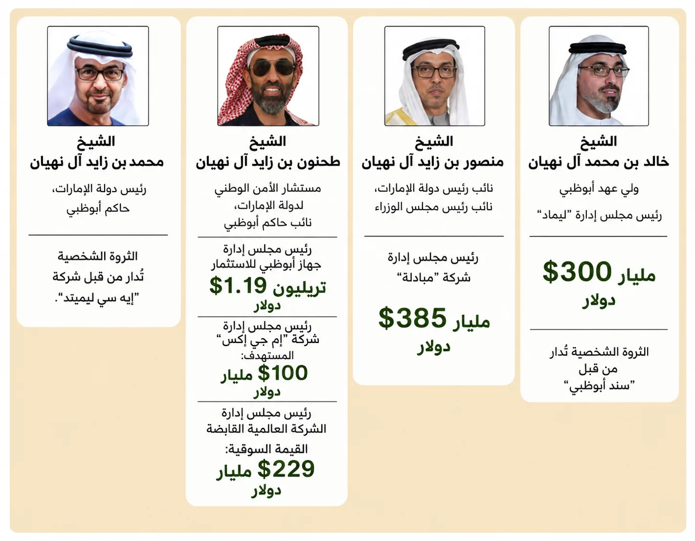 كيف يضفي شيوخ آل نهيان طابعًا مؤسسيًا على ثرواتهم؟ 34 نون بوست