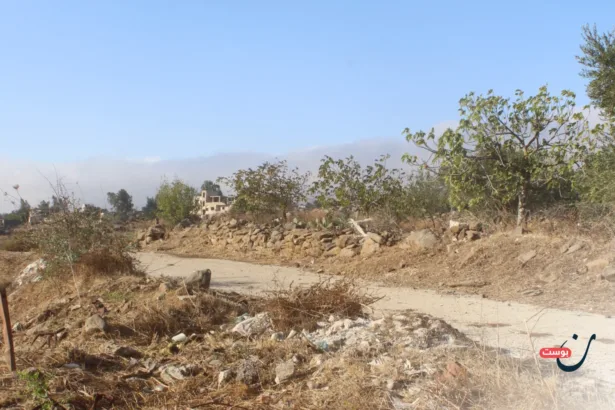 Shebaa Farms: How can the border puzzle woven by Assad and exploited by Hezbollah be solved?