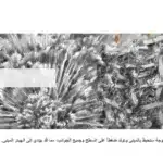 تفاصيل الدمار: كيف عصفت شاحنات المتفجرات الإسرائيلية التي تزن أطنان بغزة؟ 34 نون بوست
