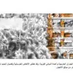 تفاصيل الدمار: كيف عصفت شاحنات المتفجرات الإسرائيلية التي تزن أطنان بغزة؟ 32 نون بوست