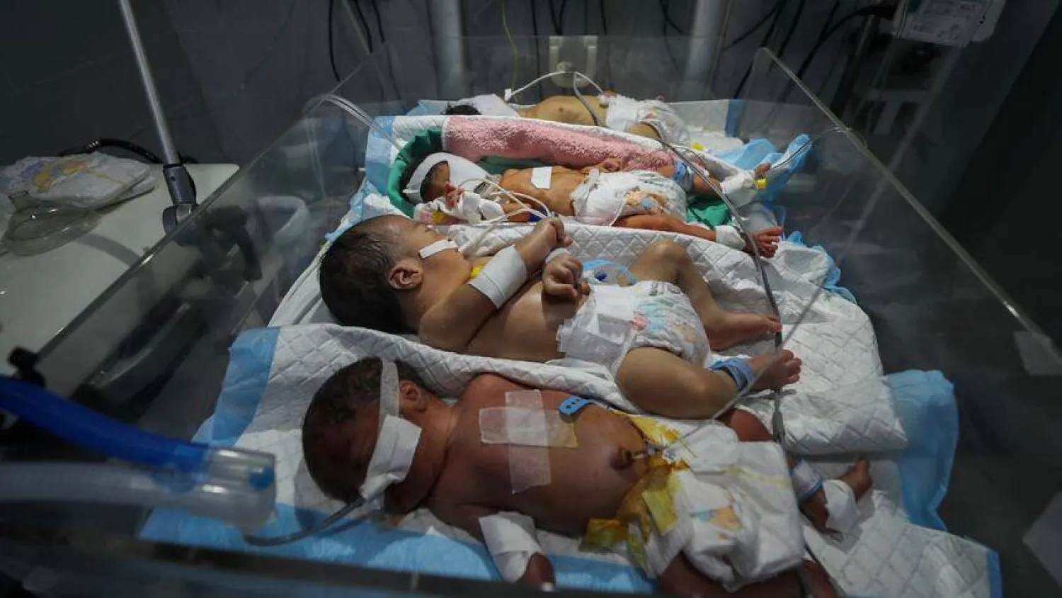 جيل خارج السجل.. كيف تتحكم "إسرائيل" بالوجود القانوني للفلسطينيين؟ 26 نون بوست