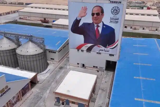 دولة داخل الدولة.. تشكيل “مستقبل مصر” يكشف خريطة نفوذ جديدة