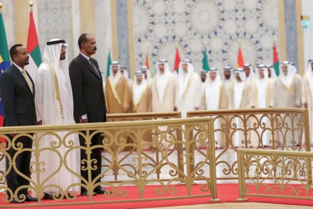 صفقات الموانئ والقواعد العسكرية.. من يقتسم القرن الأفريقي؟