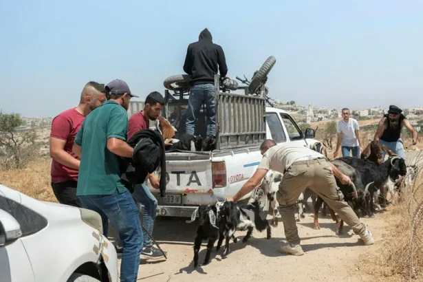 تحت الاحتلال بصورة أخرى: إسرائيل لا تناقش دولة فلسطينية.. بل تستعد للتهجير
