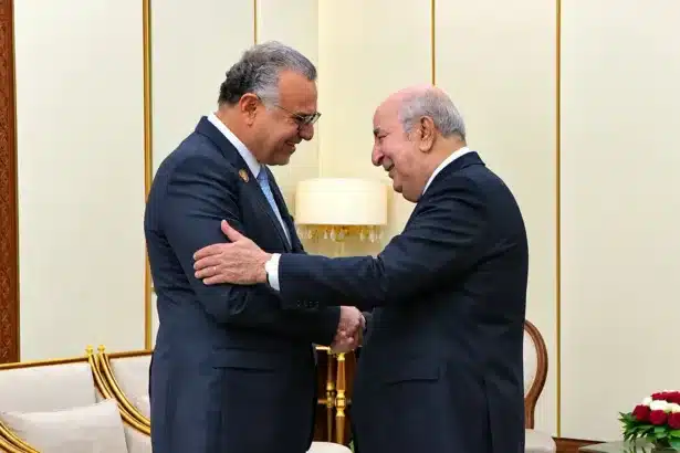 شراكة الضرورة: ما الذي يجمع واشنطن والجزائر في الساحل؟