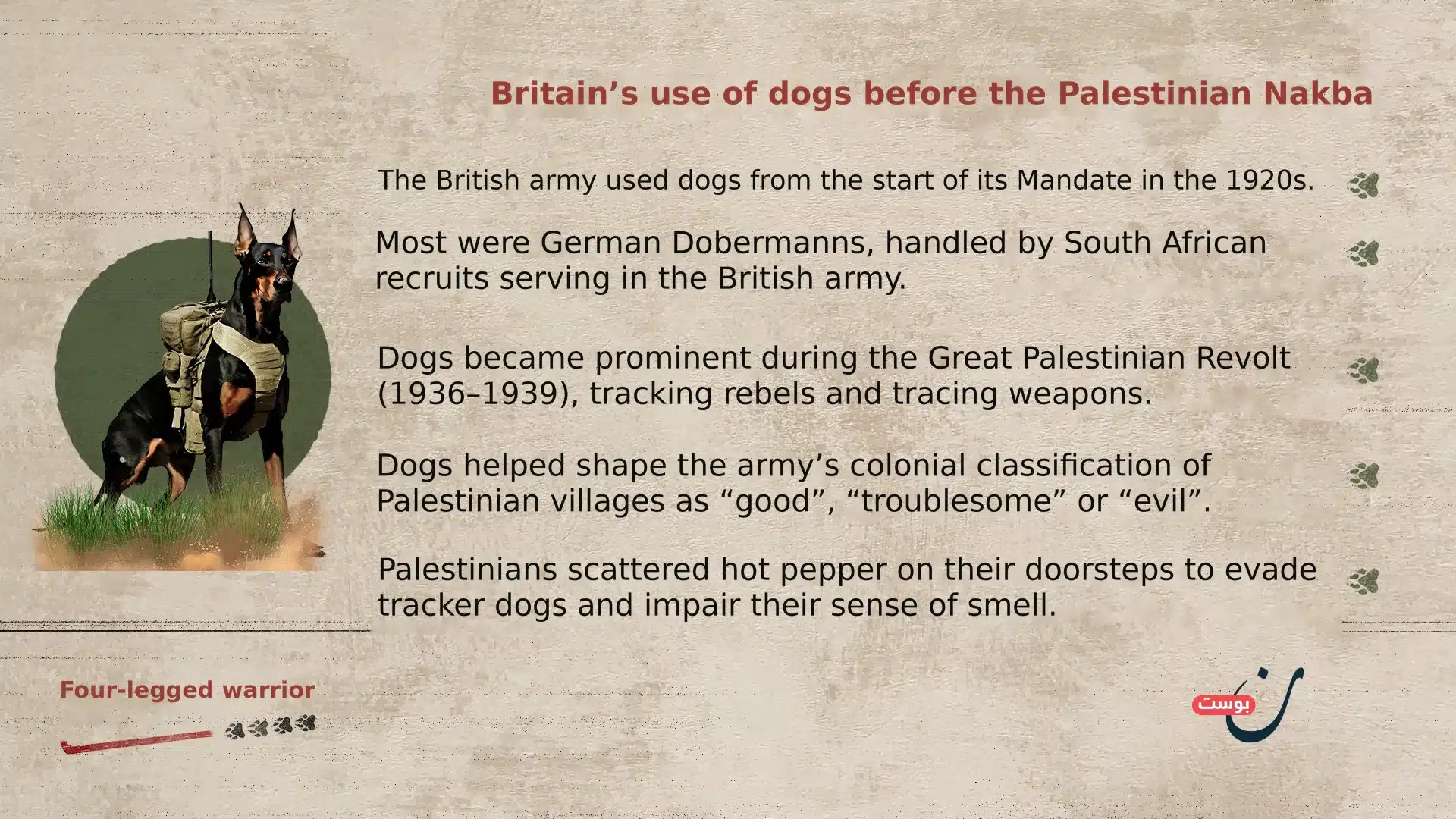 Israel’s ‘four-legged warriors’ and a colonial history of violence 26 NoonPost