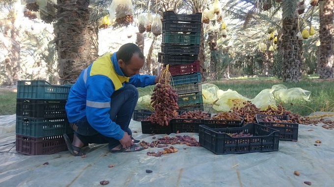 نون بوست