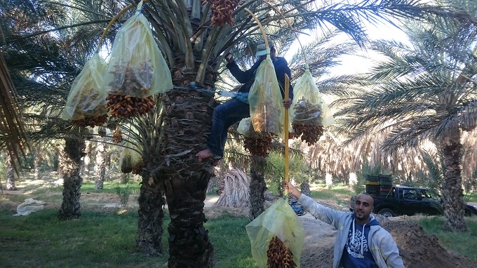 نون بوست