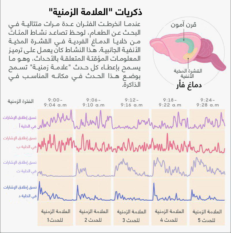 نون بوست