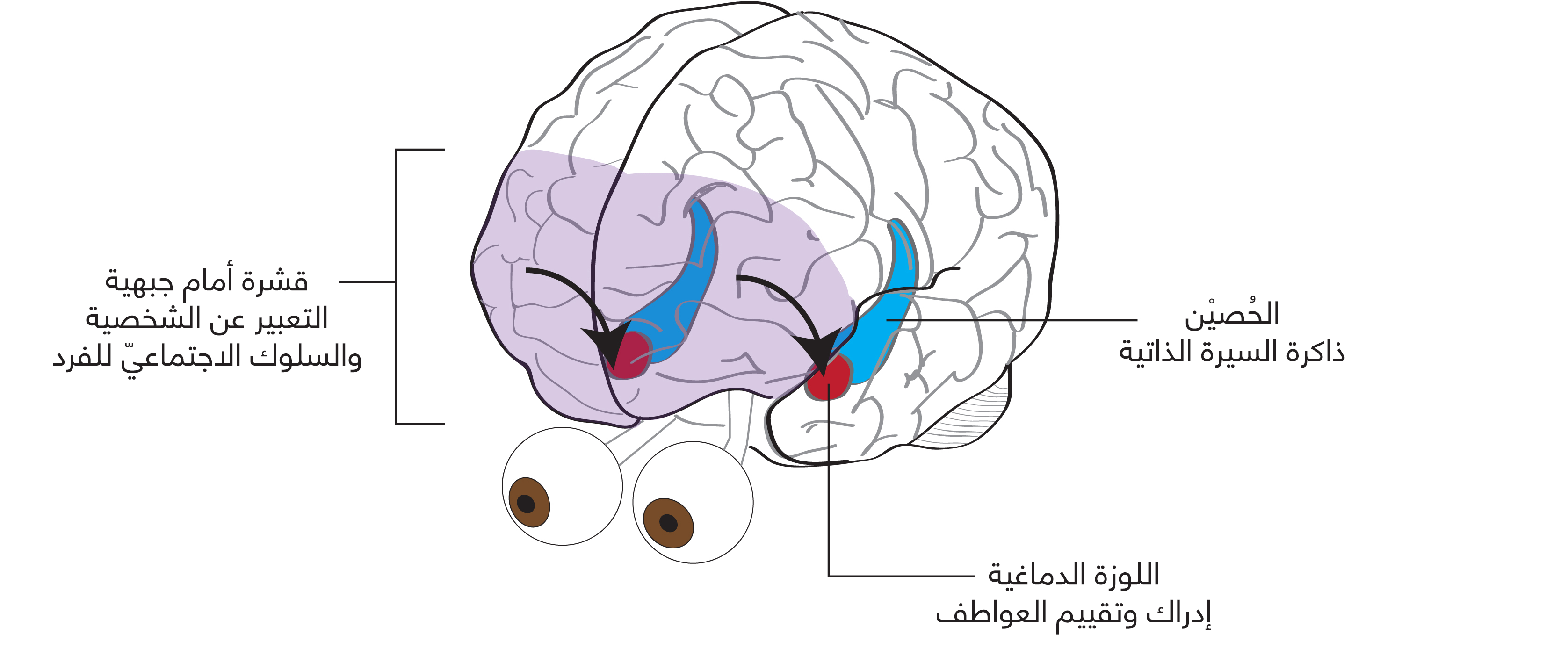 نون بوست