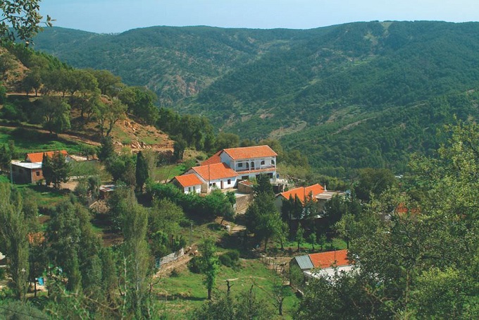 عين دراهم